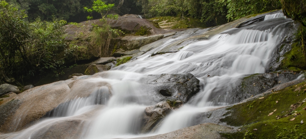 Um Encontro com a Natureza: Trilha do Guaratuba 