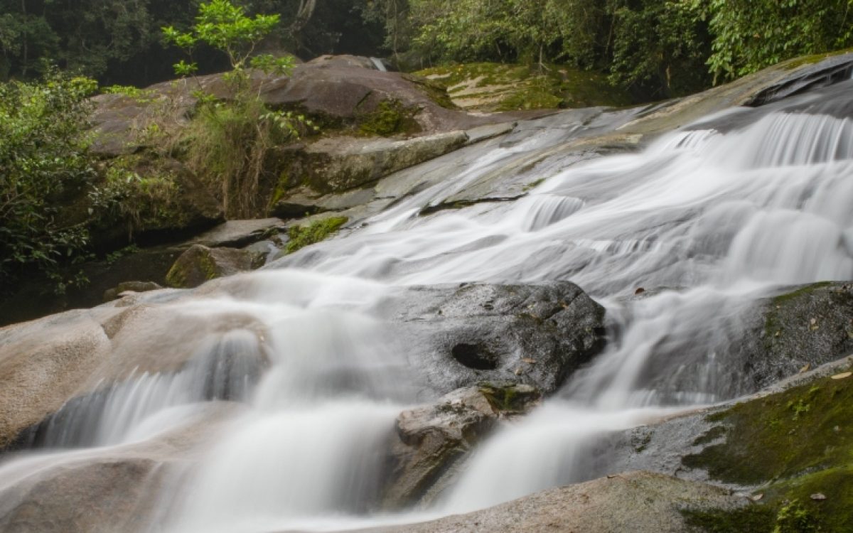 Um Encontro com a Natureza: Trilha do Guaratuba 